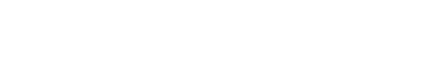VELOX
